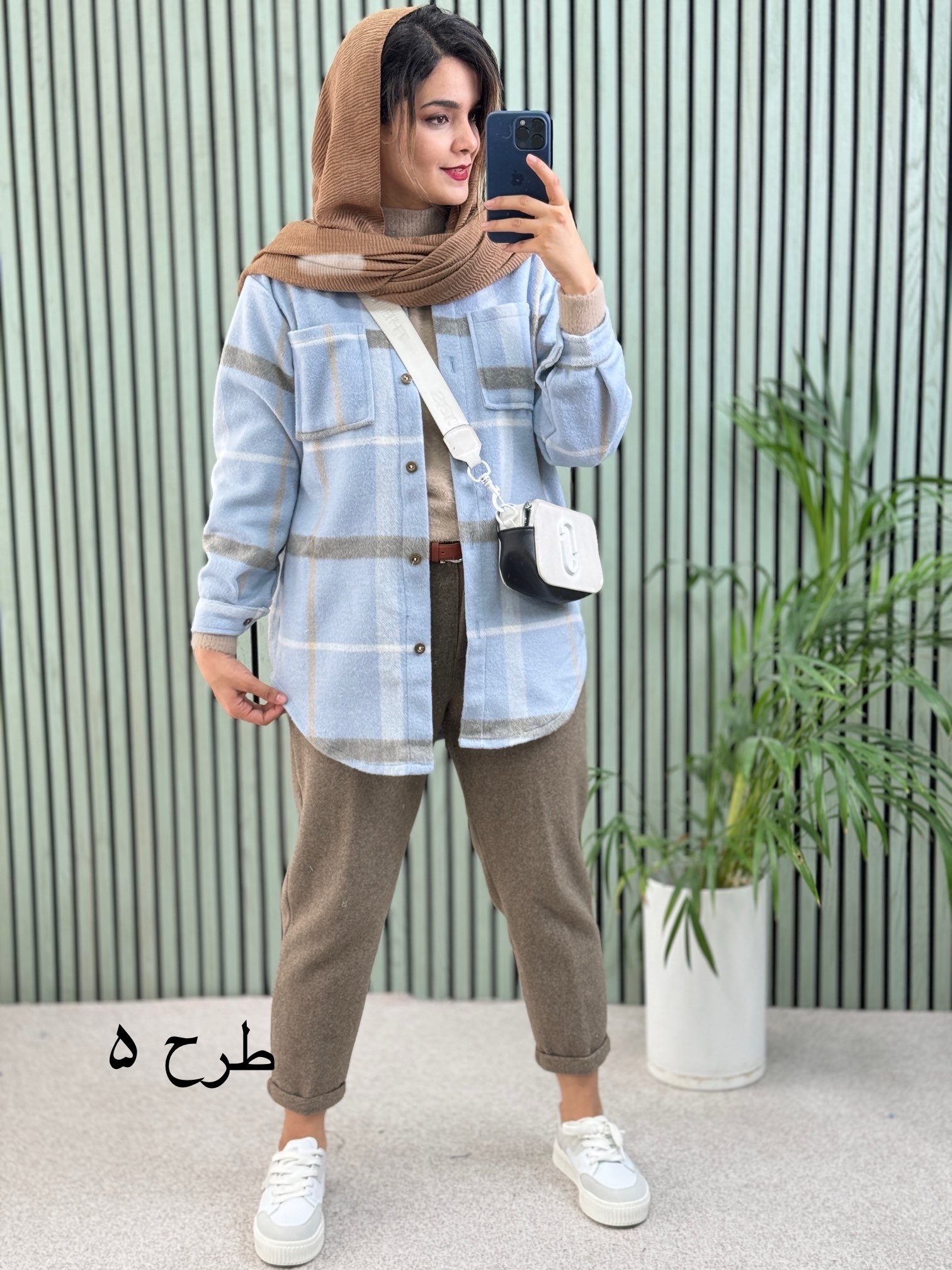 شکت پشمی بیتا