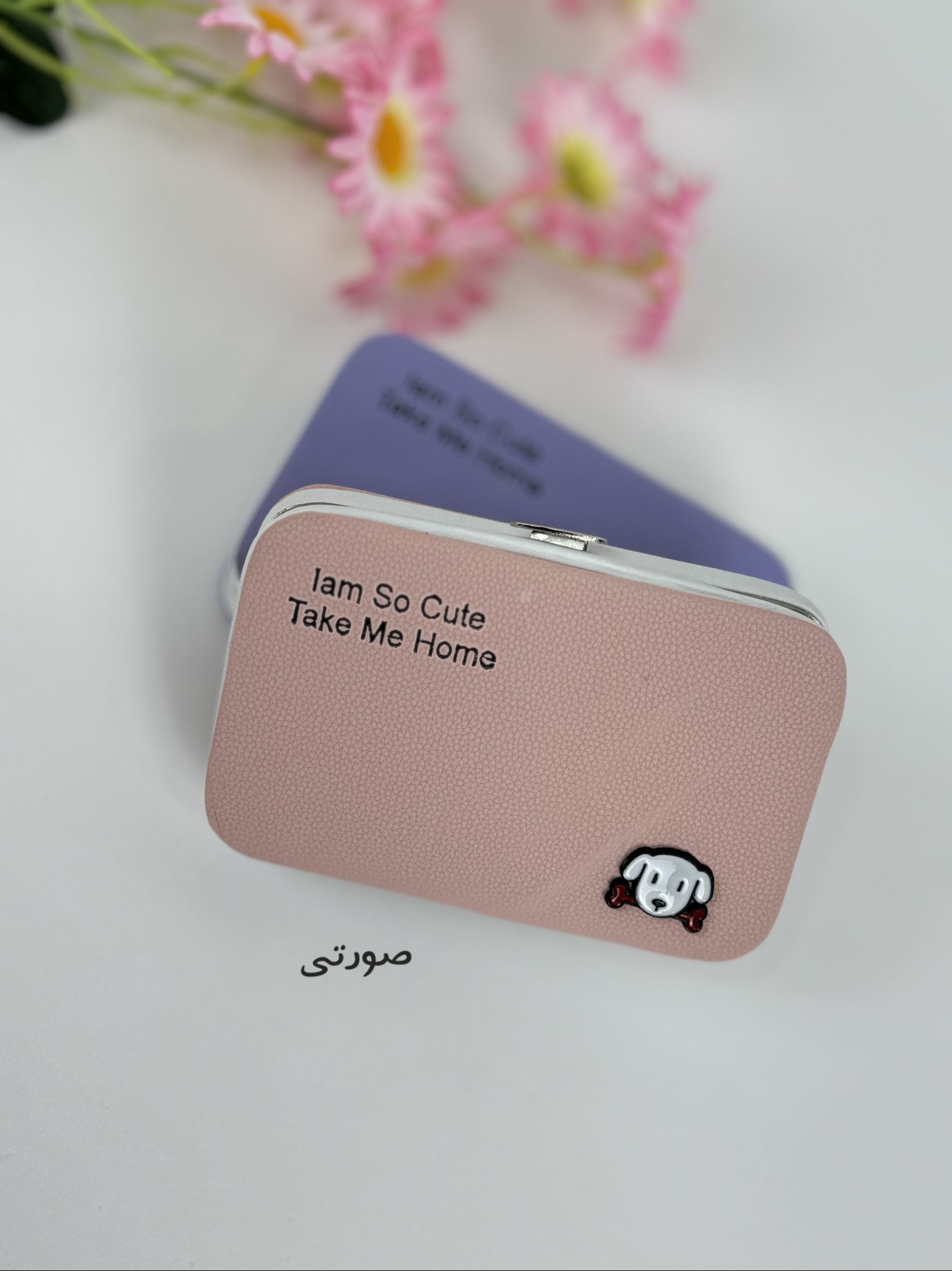 جاکارتی پاپی