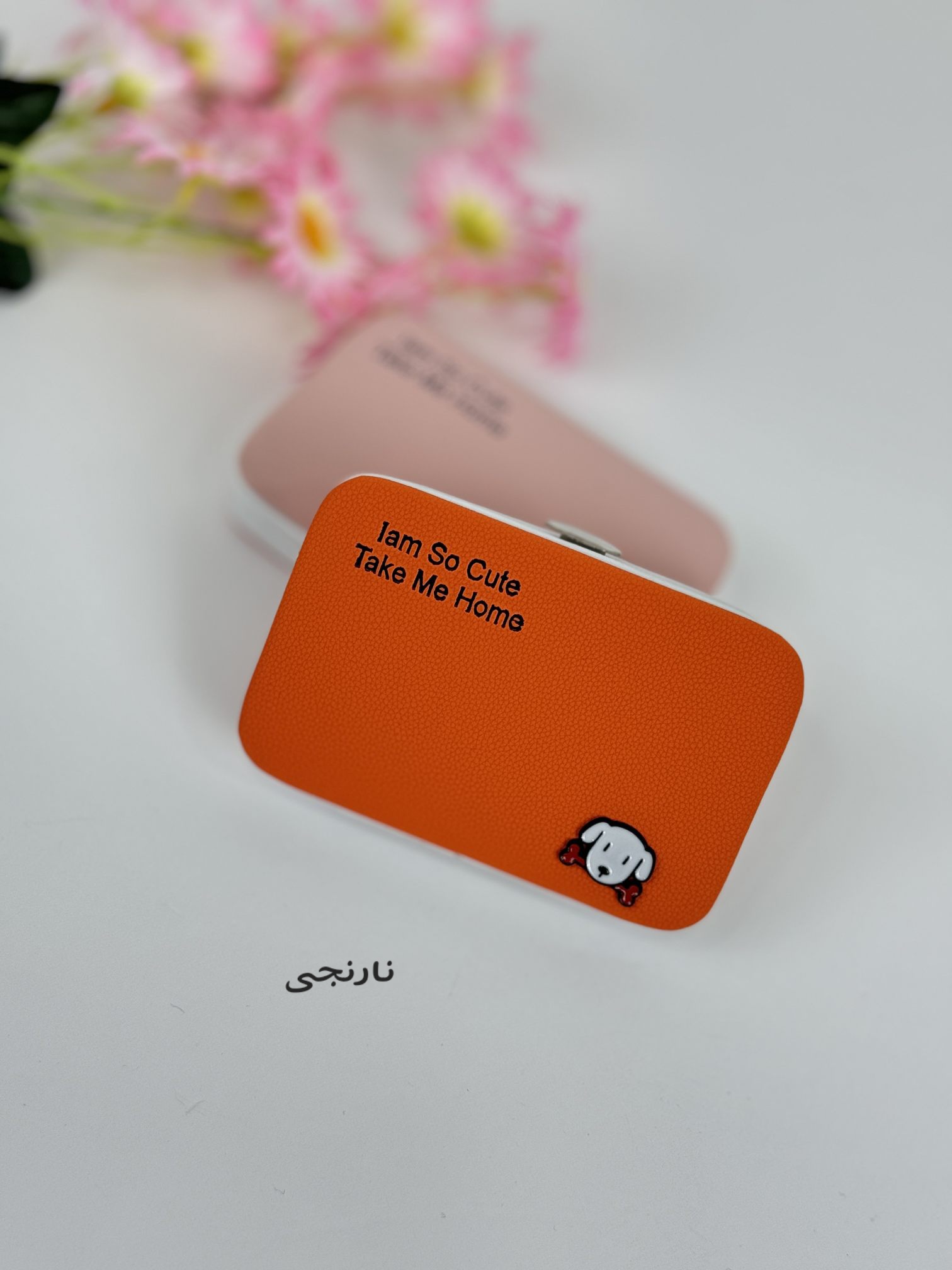 جاکارتی پاپی