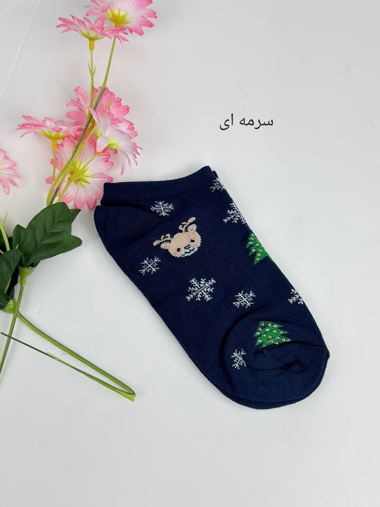 جوراب تِد