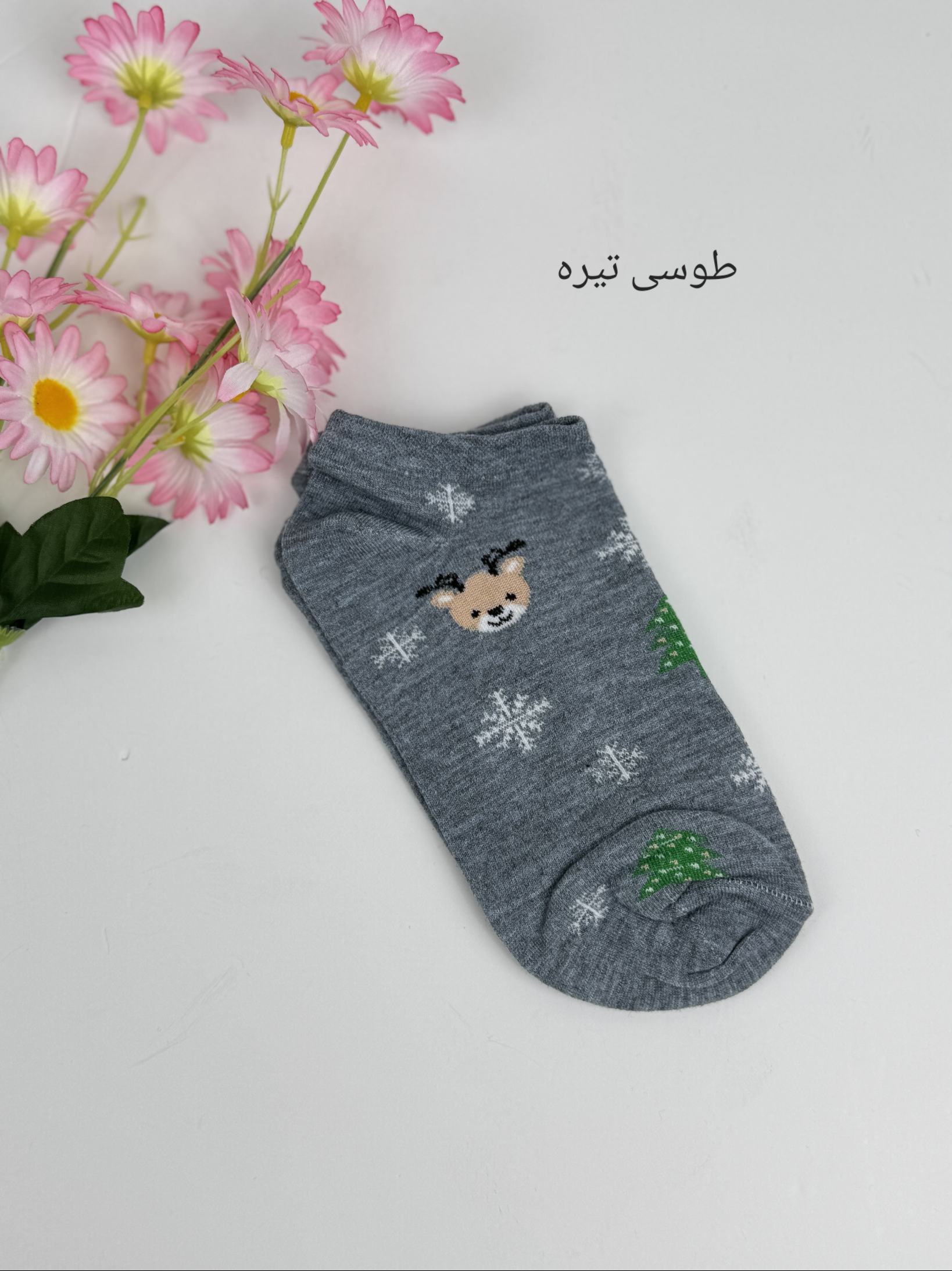 جوراب تِد