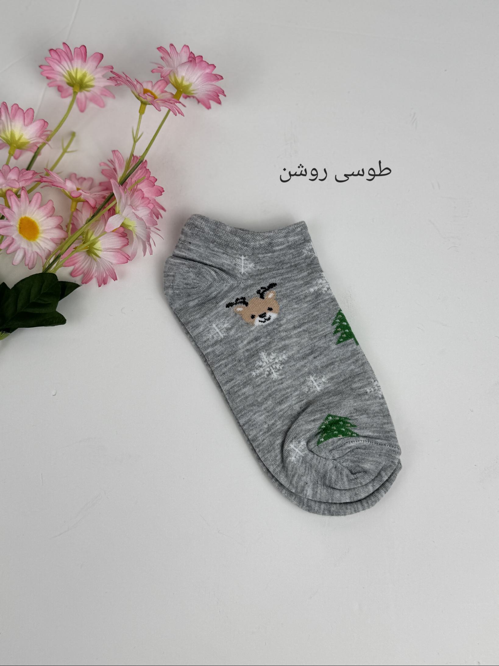 جوراب تِد